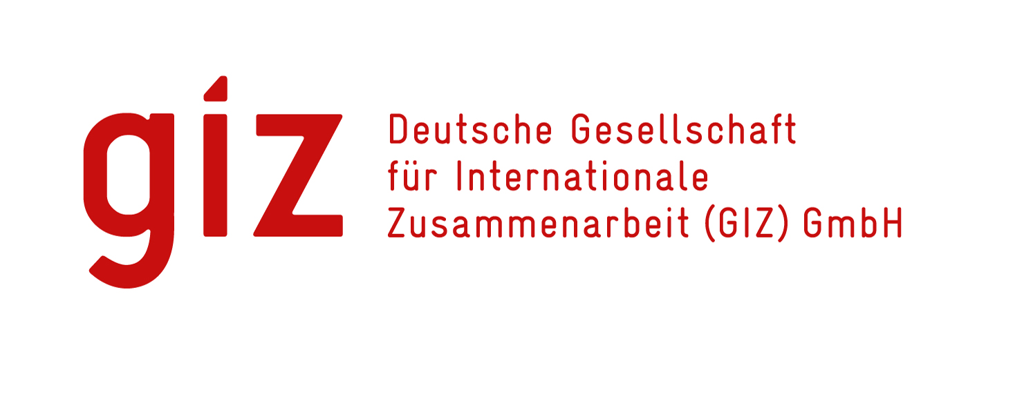GIZ Logo
